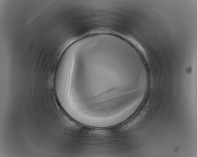 X0000095120953200712301757