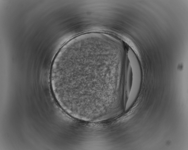 X0000095120954200712301757