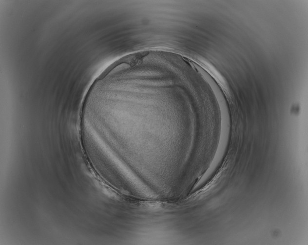 X0000095120956200712301757