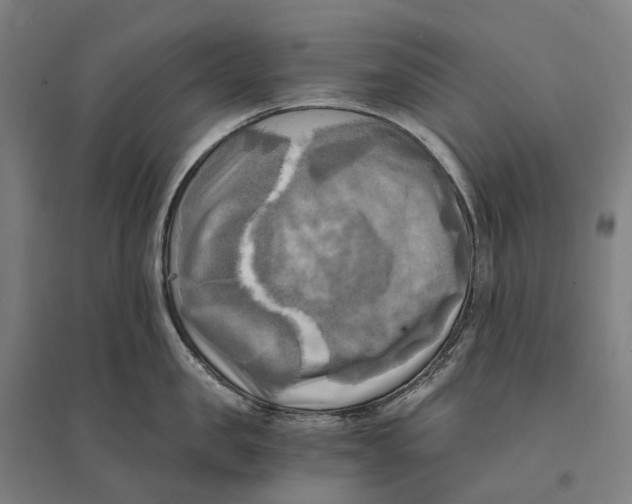 X0000095120957200712301757