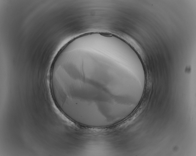 X0000095120958200712301757