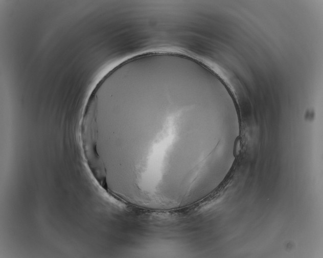 X0000095120959200712301757