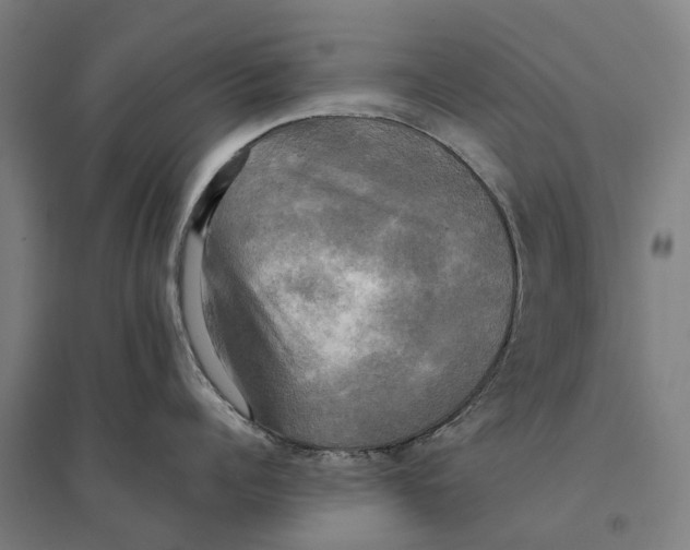 X0000095120960200712301757