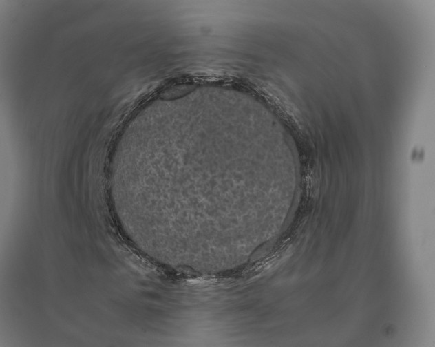 X0000095120961200712301756