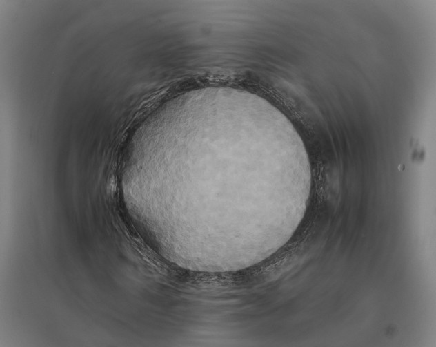 X0000095120962200712301756