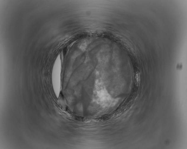 X0000095120963200712301756