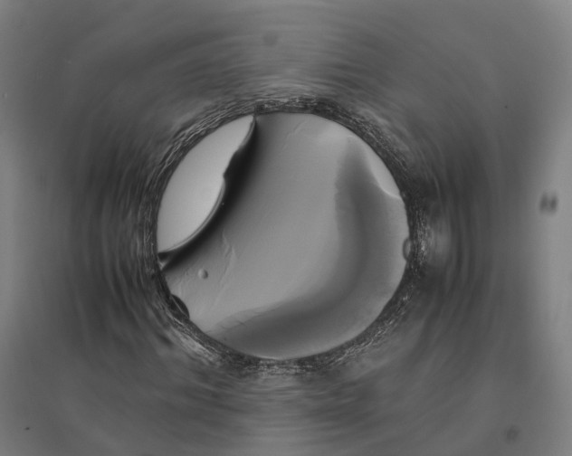 X0000095120964200712301756