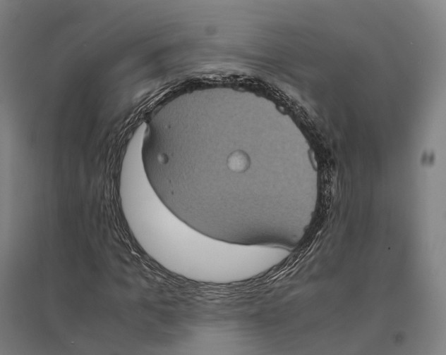 X0000095120965200712301756