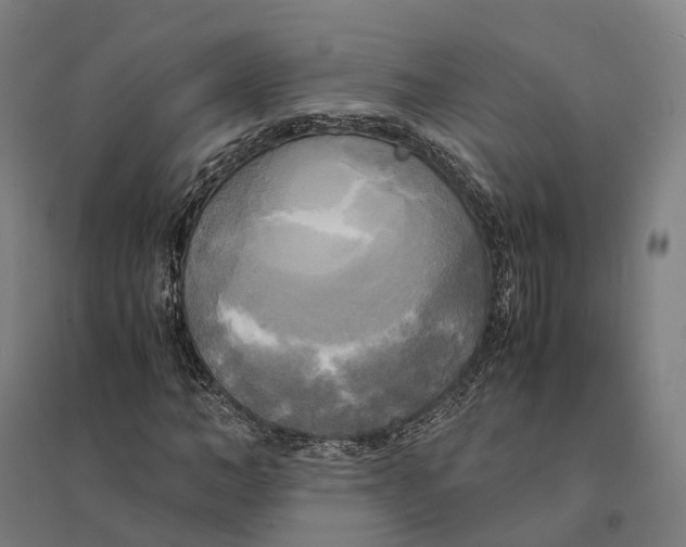 X0000095120966200712301756