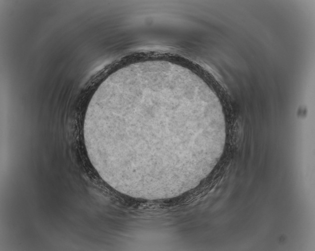 X0000095120967200712301756