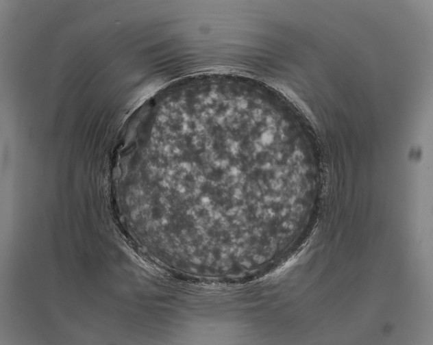 X0000095120969200712301756