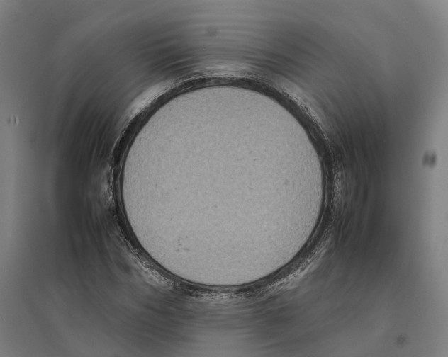 X0000095120970200712301756