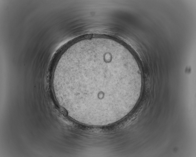 X0000095120971200712301756