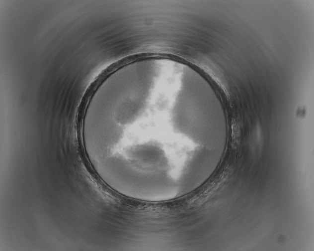 X0000095120972200712301756