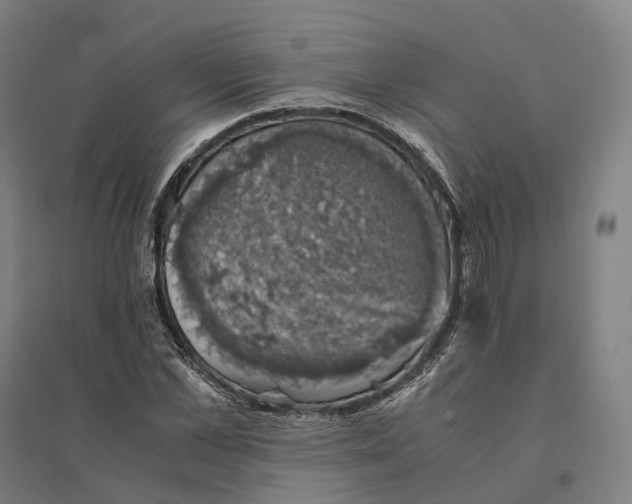 X0000095120973200712301756