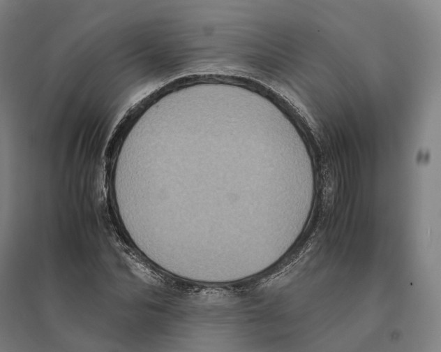 X0000095120974200712301756