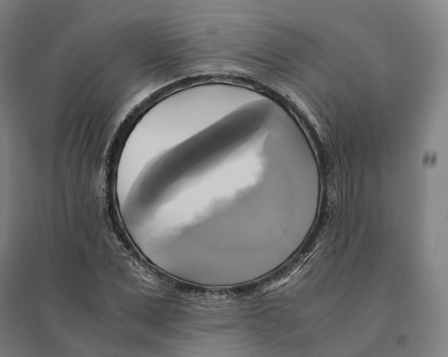 X0000095120975200712301756