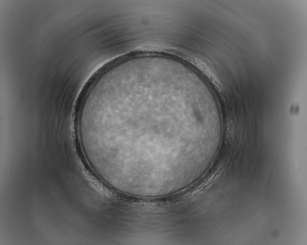 X0000095120976200712301756