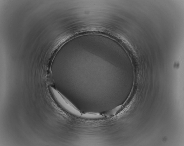 X0000095120977200712301756