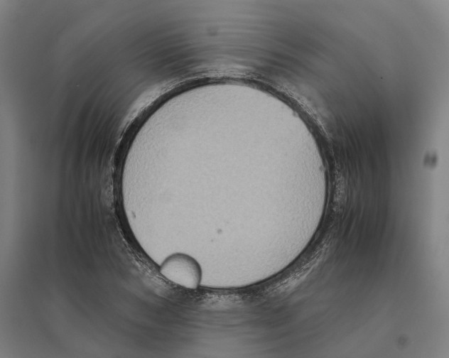 X0000095120978200712301756