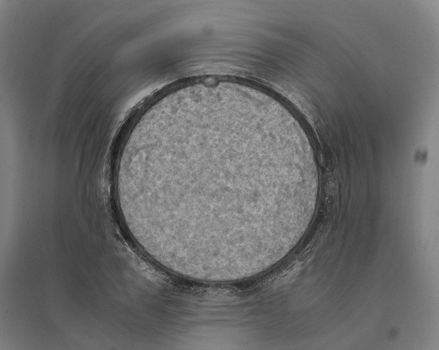 X0000095120979200712301756