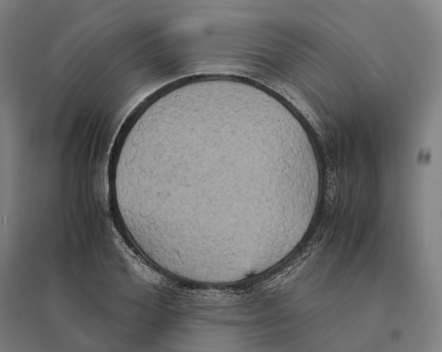 X0000095120980200712301756