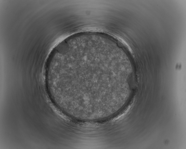 X0000095120981200712301756