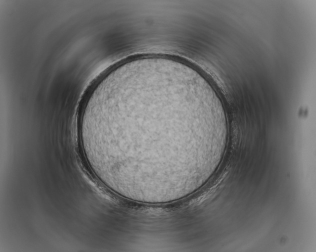 X0000095120982200712301756