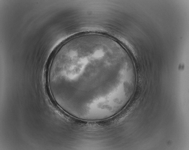 X0000095120983200712301756