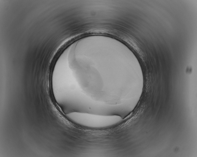 X0000095120984200712301756