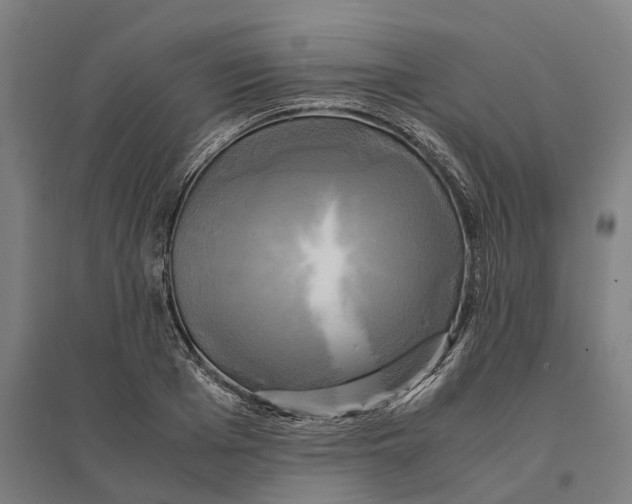 X0000095120985200712301756