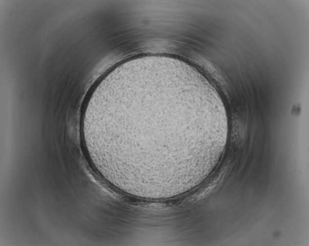 X0000095120986200712301756