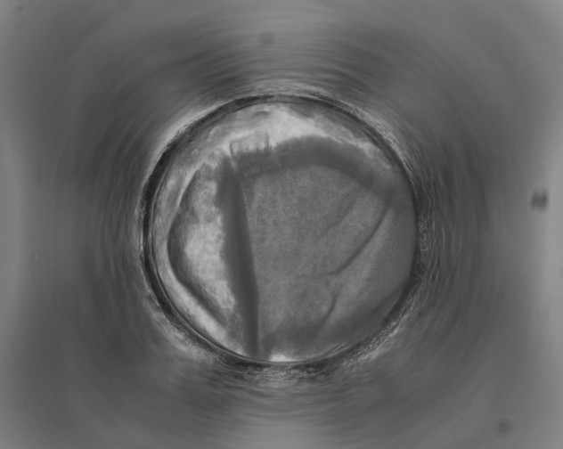 X0000095120987200712301756