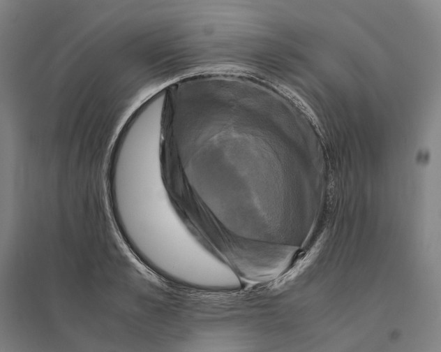 X0000095120989200712301756