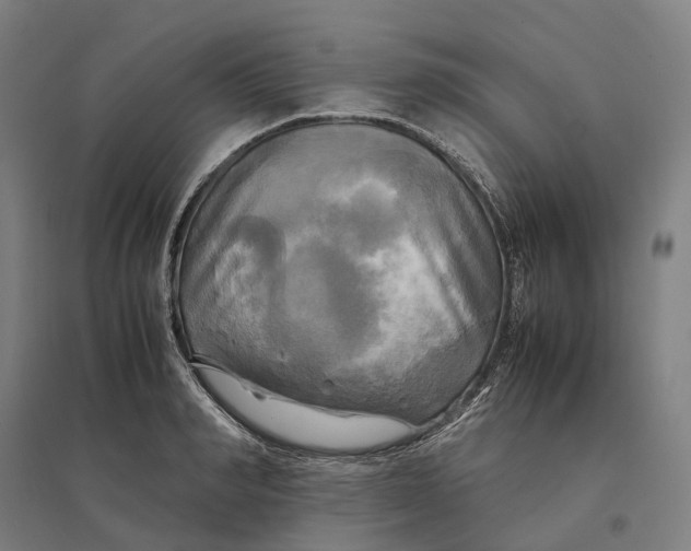 X0000095120990200712301756