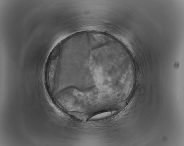 X0000095120991200712301756