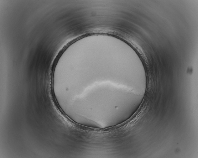 X0000095120992200712301756