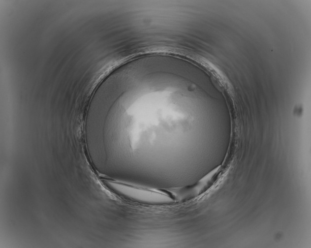 X0000095120993200712301756