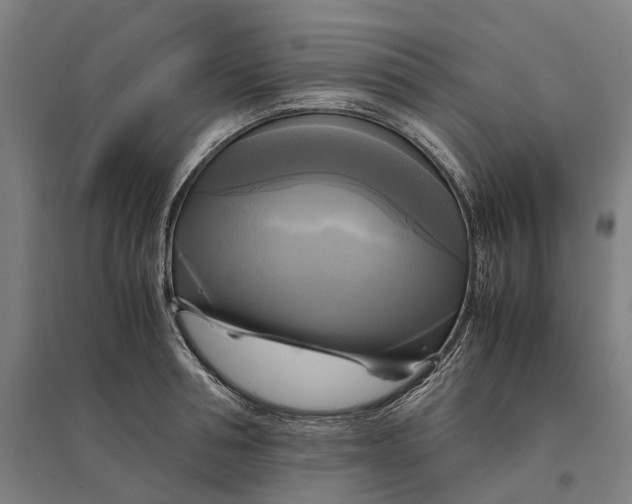 X0000095120994200712301756