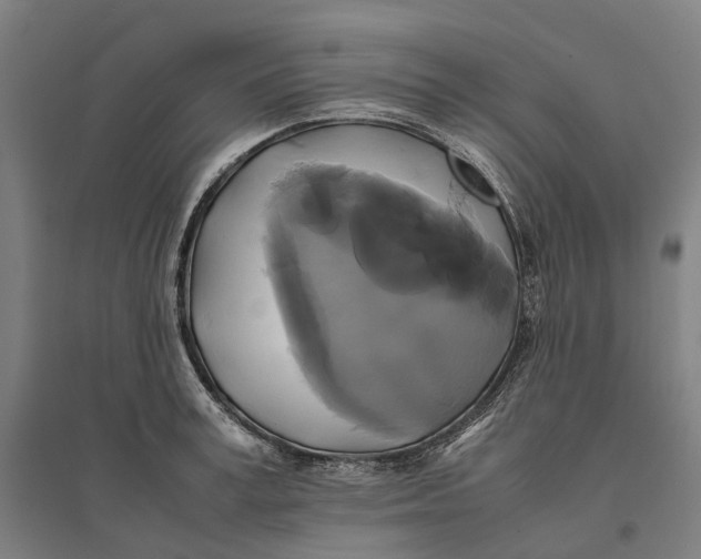 X0000095120995200712301756