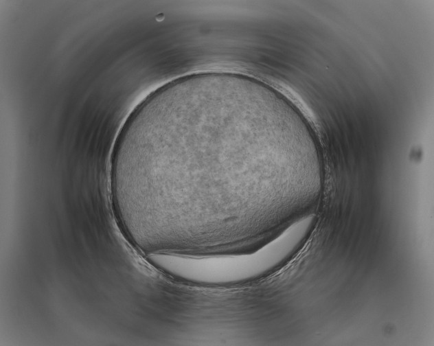 X0000095120996200712301756