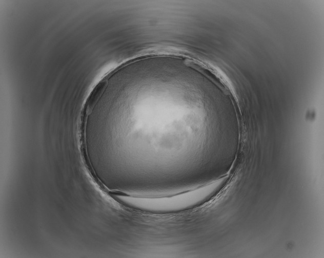 X0000095120997200712301756