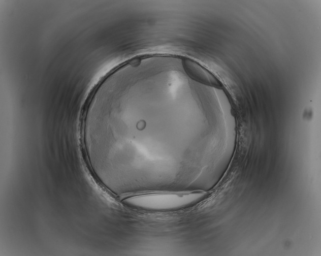 X0000095120998200712301756