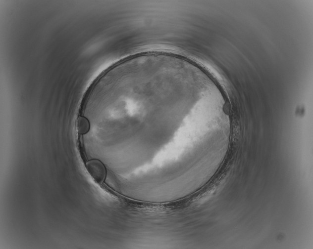 X0000095120999200712301756