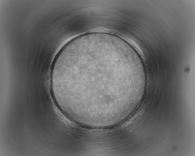 X0000095121000200712301756