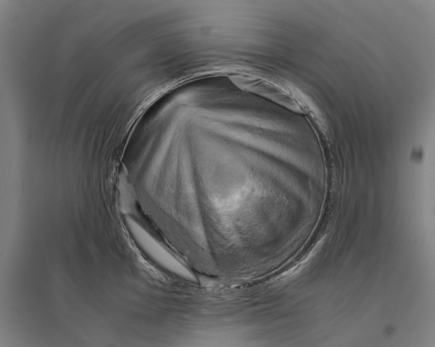 X0000095121001200712301756