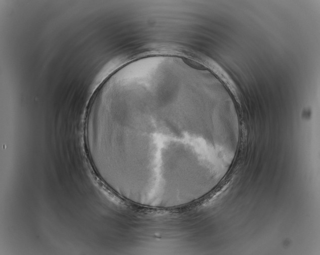 X0000095121002200712301756