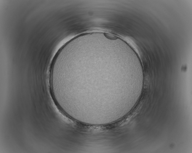 X0000095121003200712301756