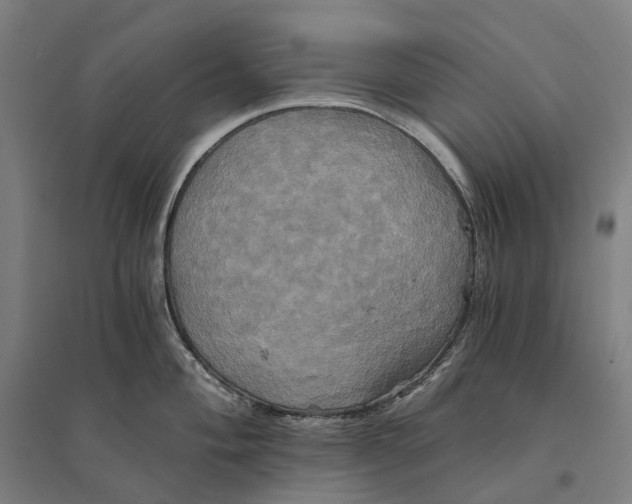 X0000095121004200712301756