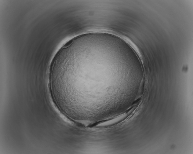 X0000095121005200712301756